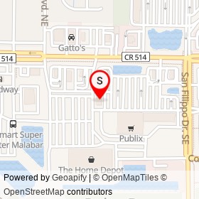 Sherwin-Williams on Lane #1, Palm Bay Florida - location map