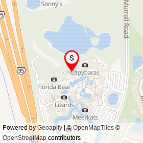 Bald Eagle on Butterfly Trail, Viera Florida - location map