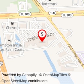 Winn-Dixie on Flagler Plaza Drive, Palm Coast Florida - location map