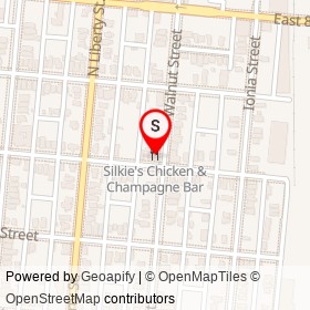 Silkie's Chicken & Champagne Bar on Walnut Street, Jacksonville Florida - location map