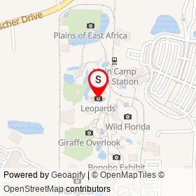 Leopards on Zoo Parkway, Jacksonville Florida - location map