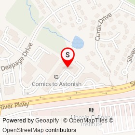 Domino's on Snowden River Parkway, Columbia Maryland - location map