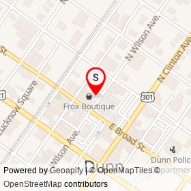 Ladybug in the Attic on North Wilson Avenue, Dunn North Carolina - location map