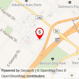 Food Lion on East Parrish Drive, Benson North Carolina - location map