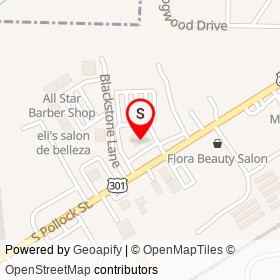 AutoZone on South Pollock Street, Selma North Carolina - location map