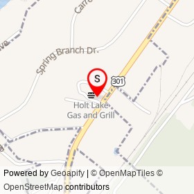 Exxon on US 301, Four Oaks North Carolina - location map