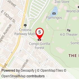 Congo Gorilla Forest on Bronx Park South, New York New York - location map