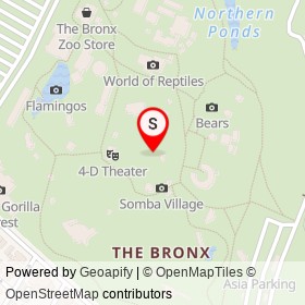 Baboons on , New York New York - location map