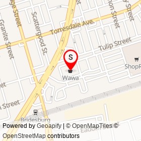 Wawa on Tulip Street, Philadelphia Pennsylvania - location map
