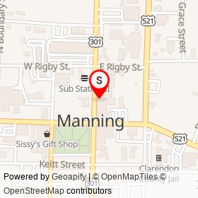 Reliable Pawn Shop on North Brooks Street, Manning South Carolina - location map