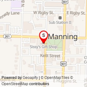 Special Occasions on South Mill Street, Manning South Carolina - location map