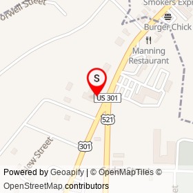 MAPA Auto Parts on North Brooks Street, Manning South Carolina - location map