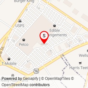 Stein Mart on West Palmetto Street, Florence South Carolina - location map