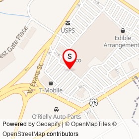 Piggly Wiggly on West Palmetto Street, Florence South Carolina - location map