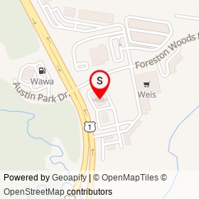 CVS on Foreston Woods Drive,  Virginia - location map